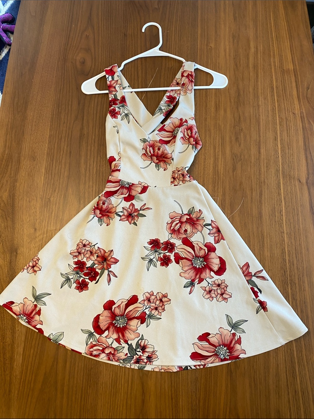 Floral V-Neck A-Line Dress in Cream and Red